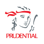 Prudential PRUMillion Med Medical Card