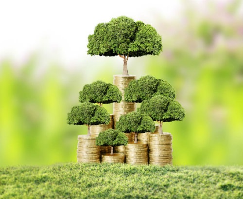 Is Green (Investment) the New Black?