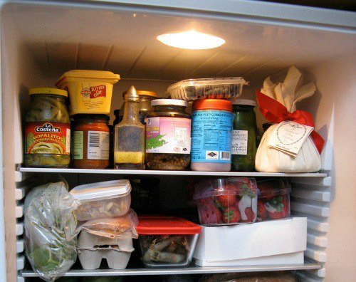 How to Better Use Your Fridge to Save on Food and Electricity